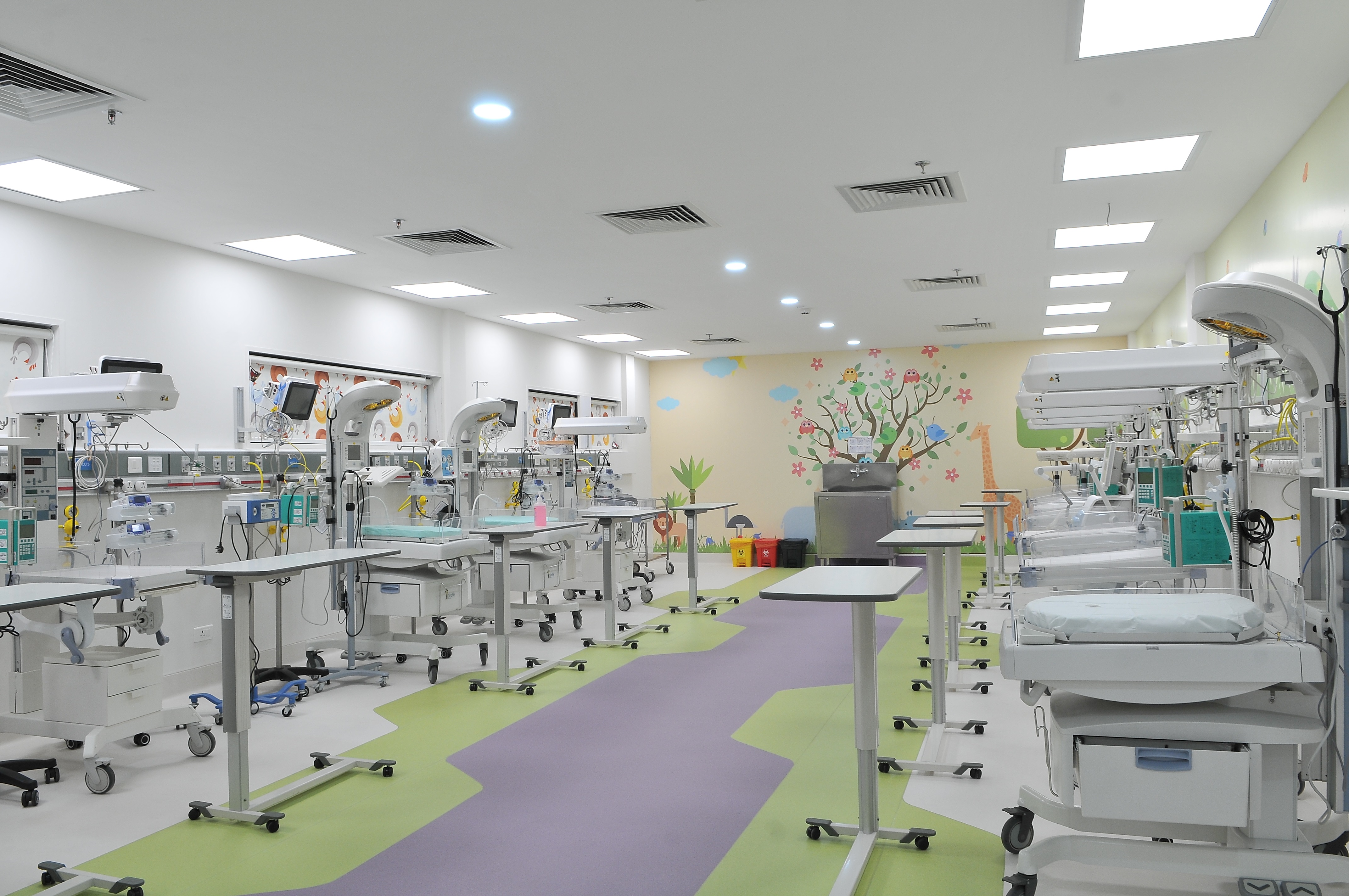 nicu-1_2020-07-18-12-37-25.jpg